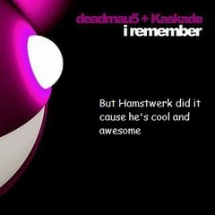 Deadmau5 & Kaskade - I Remember (Hamstwerk Remix)