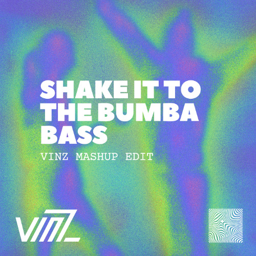 Shake It To The Max X Bumba Bass(VinZ Mashup Edit)