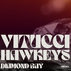 Vitucci & Hawkeys - Diamond Bay (Radio Edit)