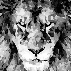 Lion (Mix)