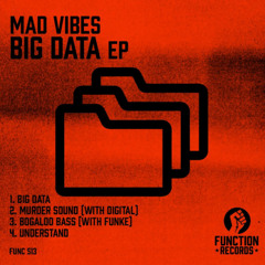 Mad Vibes - Big Data EP - Func 513