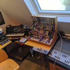 Sonic Explorations into Uncharted Acid Territory