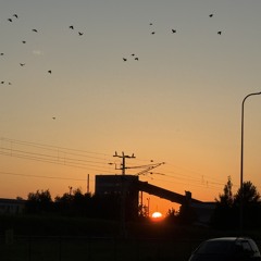 trepist üles (telefonilindistus)