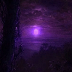 Gettin Took Off Prod. ZAMORA