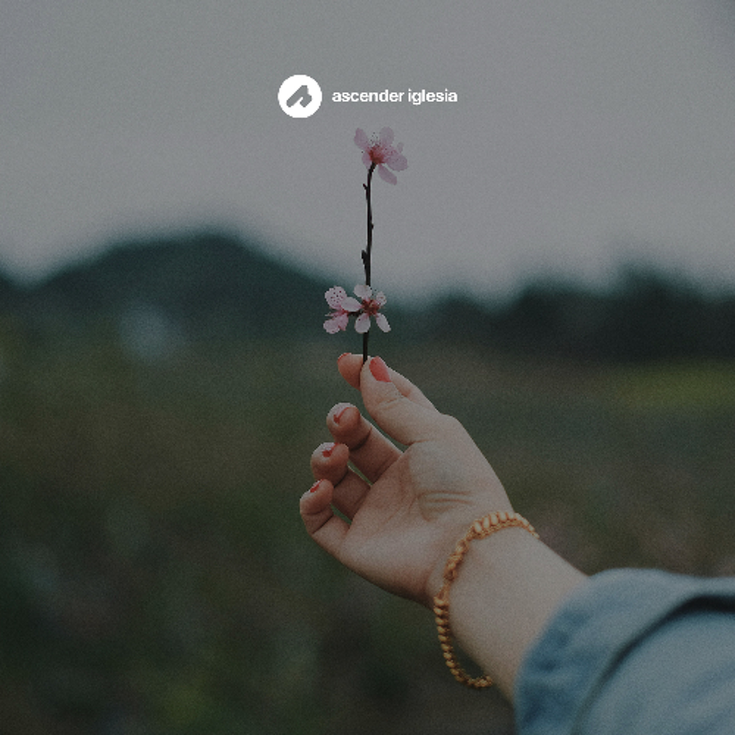 Aprendiendo a dar gracias