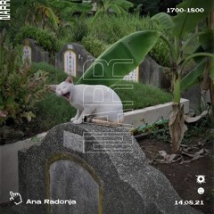Ana Radonja 14/08/21
