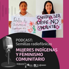 Semillas Radiofónicas: Mujeres indígenas y feminismo comunitario