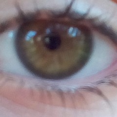 compo20221205 (Reflejo)