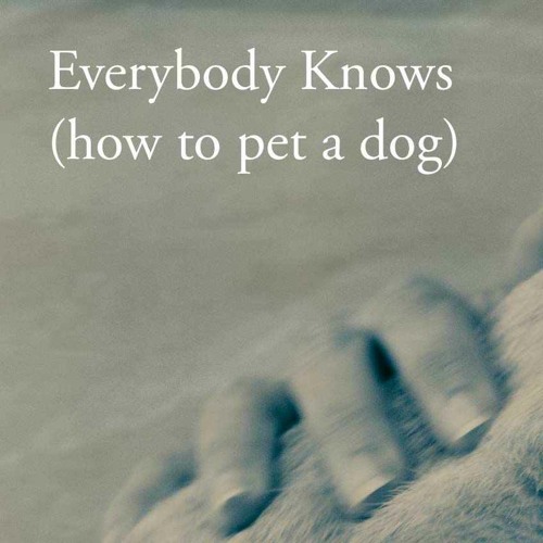 Everybody Knows How To Pet A Dog