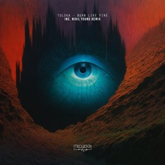 TOLOKA, Nihil Young - Burn Like Fire (Toloka Mix)