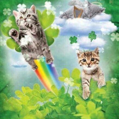 spin (prod. tebasaki)