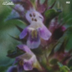 Live On All Frequencies | "Nepeta Cataria" by Jarod Vitug - 002