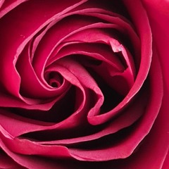 مرا هزار امید است و هر هزار تویی