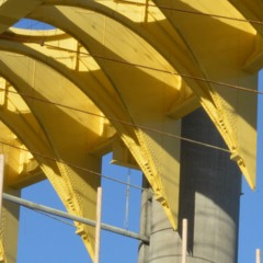 Here Now Forever Dope Fish