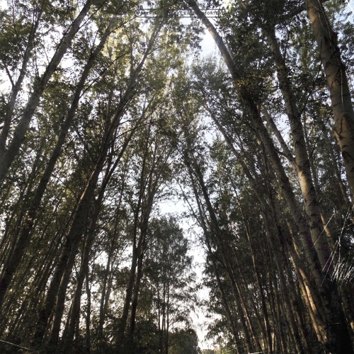 Stream Циклотимия (Intro) by THREETOYD | Listen online for free on ...