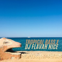 TROPICAL BASS X