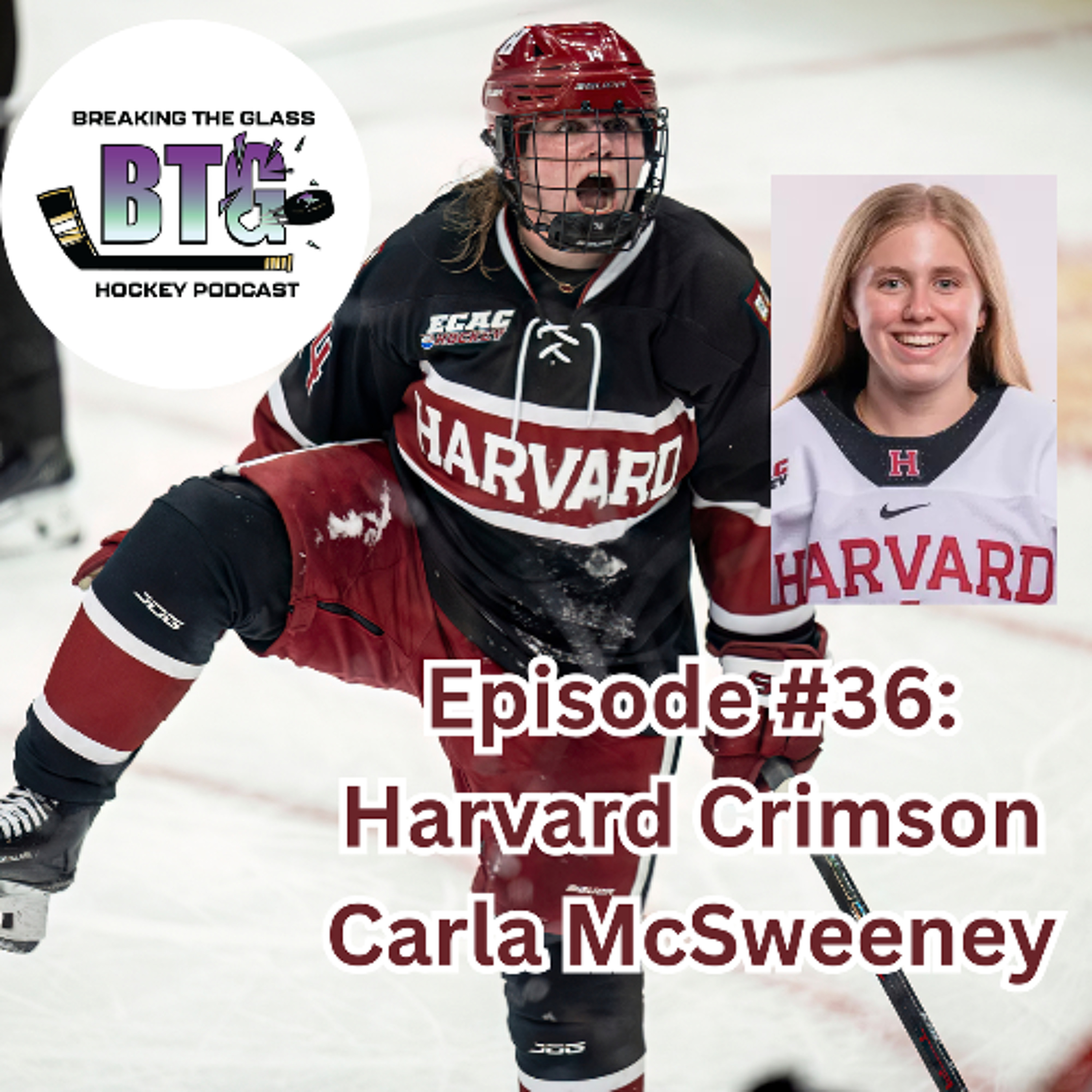 Episode #36: Harvard Crimson Carla McSweeney episode artwork