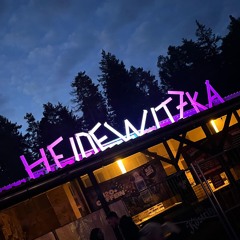 Technoir Live @Heidewitzka Festival 2024