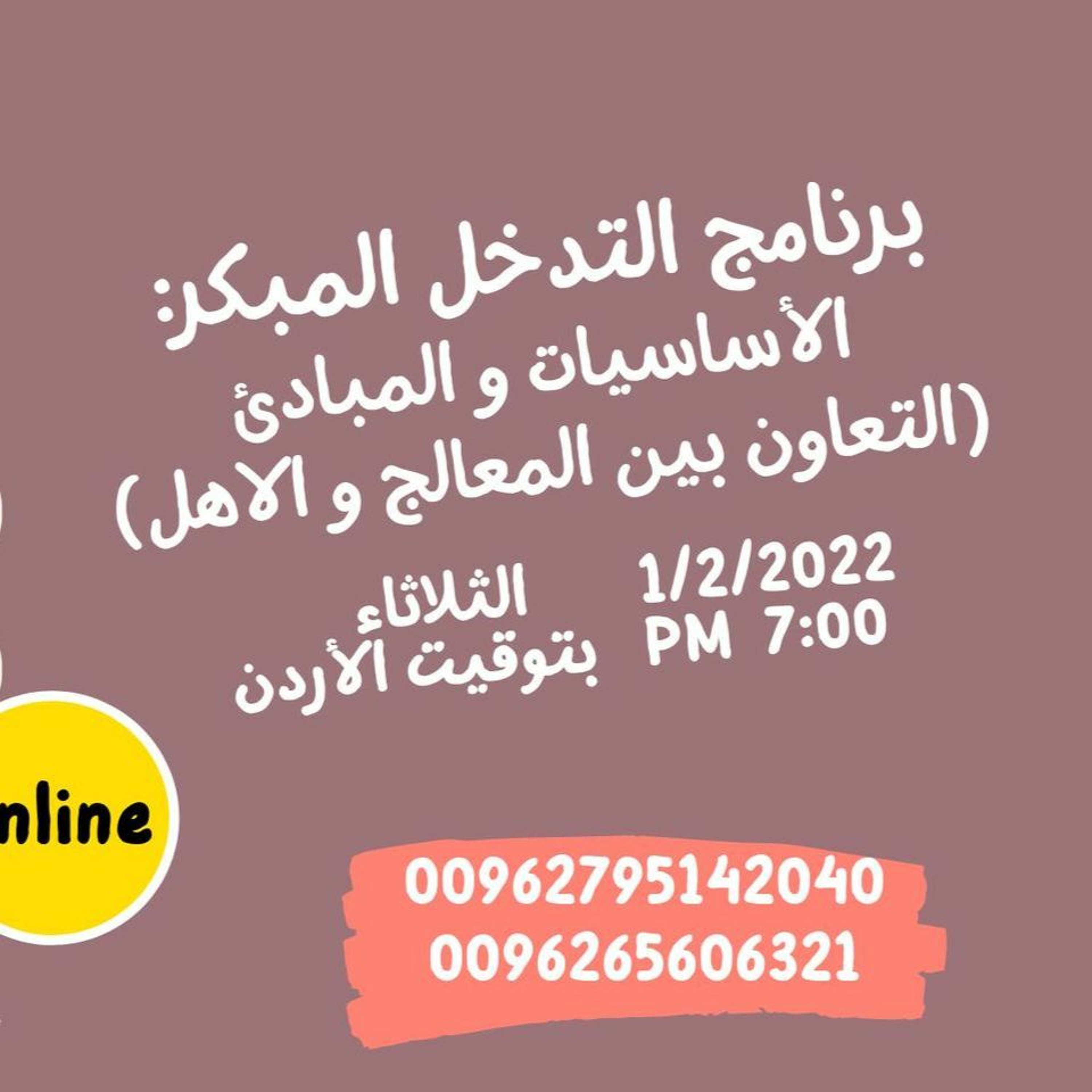 محاضرة توعوية بعنوان برنامج التدخل المبكر: الأساسيات والمبادئ – التعاون بين المعالج و الأهل episode artwork