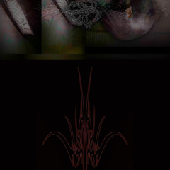 SUCCUDA+