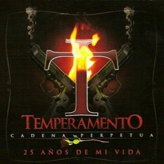 Temperamento - Lo Lamento (ft. Willie Sante) - Sped Up