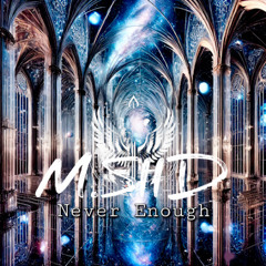 Never Enough 2025 Version