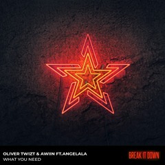 Oliver Twizt & AWIIN Ft. Angelala- What You Need