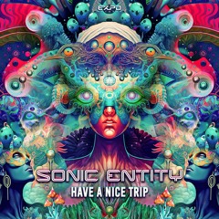 Sonic Entity - H.A.N.T (Have A Nice Trip)  (Sample) | OUT NOW ON EXPO RECORDS