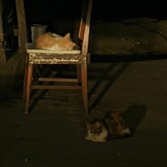 pamungkas - to the bone short cover