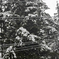 05. Nothing You Take Will Folllow