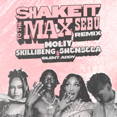 Shake It To The Max (DNB REMIX)