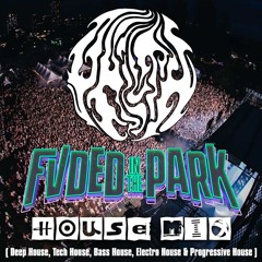FVDED in the Park 2024 House Artists Mix