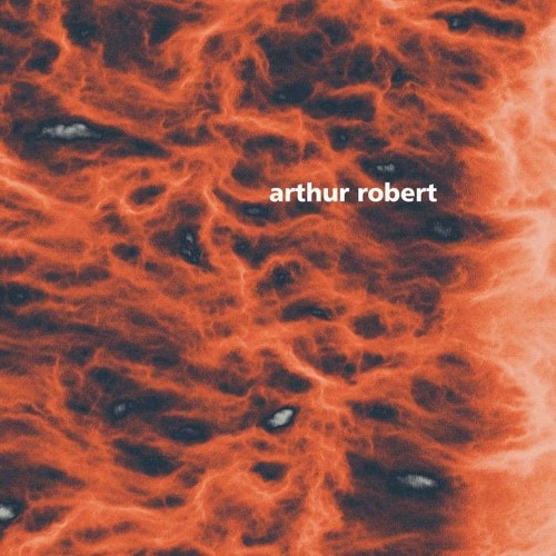 Arthur Robert - Abundance [FIGURE]