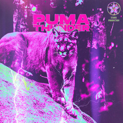 Puma Thunder