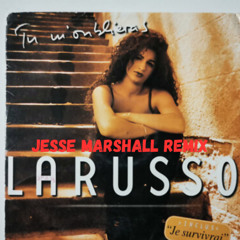 larusso tu m'oublieras jesse marshall remix