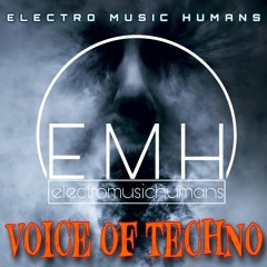 Voice Of Techno