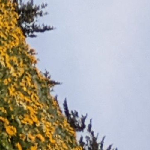 Surrounded by Breath