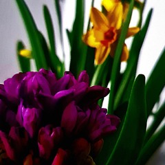 in between two heavens