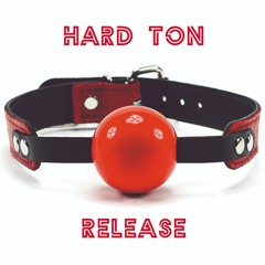 BV42 Hard Ton Feat ROY INC - Release [preview clips]