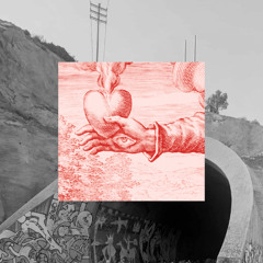 turbina straight from the heart