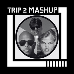 Can You Feel It x Good Feeling / Levels - Robbie Doherty x Flo Rida / AVICII (TRIP 2 INTRO MASHUP)