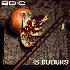 8Dio Duduks - ''Desert Aftermath'' By Geraldo Côrtes