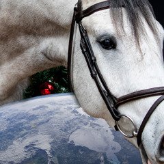 sweet talk (dear and the headlights cover)