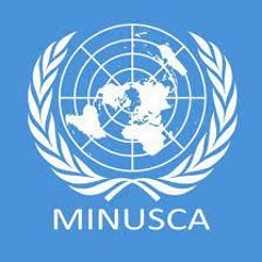 La Minusca  "n'a pas mission de soutenir une quelconque consultation référendaire"