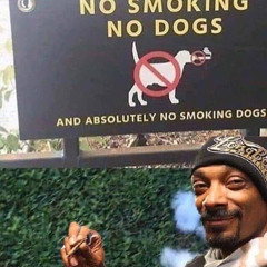 Carburando Paquistão ft ogwylou [prod Sushiboy011]