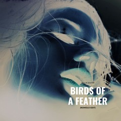 Billie Eilish - BIRDS OF A FEATHER (ROMOLO EDIT)