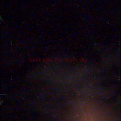 Labrat Nomad - Look Into The Night Sky