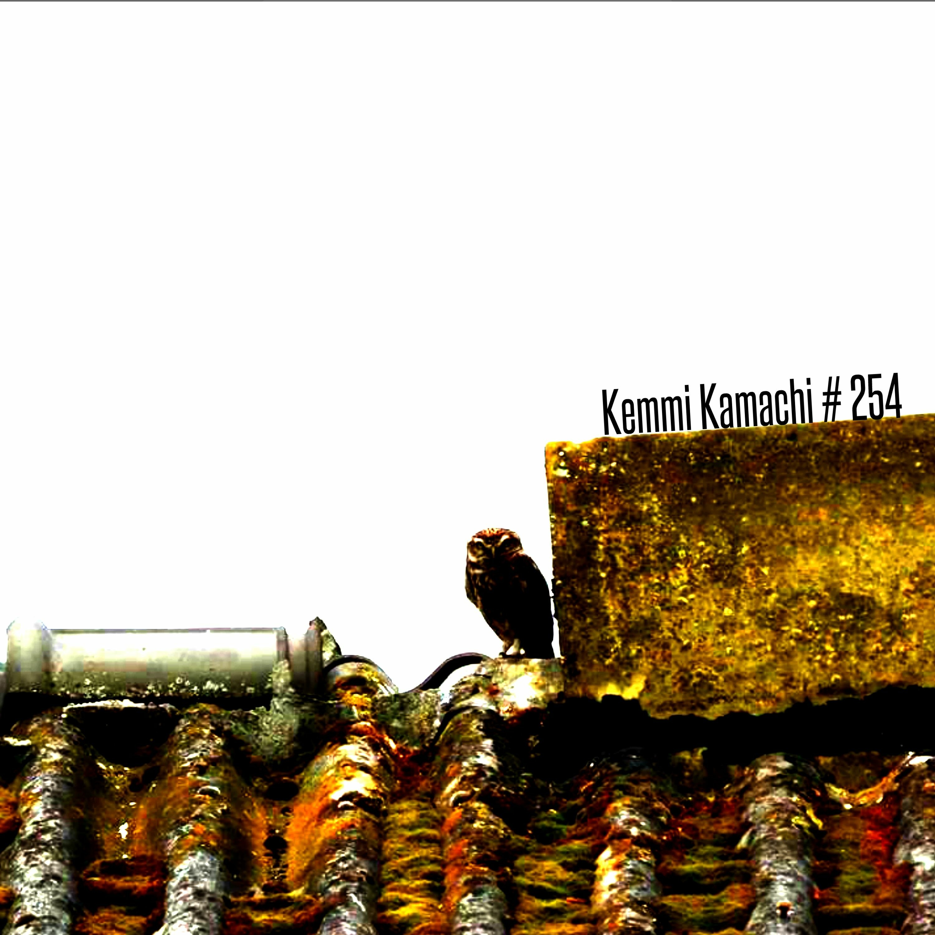 Kemmi Kamachi