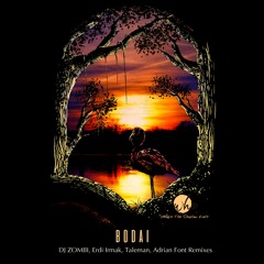 Bodai - Brave EP (Incl. DJ Zombi, Erdi Irmak, Taleman, Adrian Font Remixes) [Where The Shadow Ends]