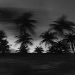 Dark Paradise (Prod. RM BEATS)